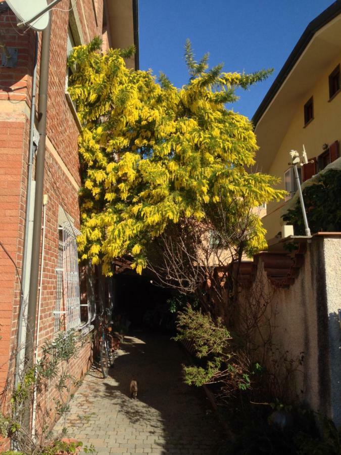 Appartement Casa Mimosa à Viareggio Extérieur photo